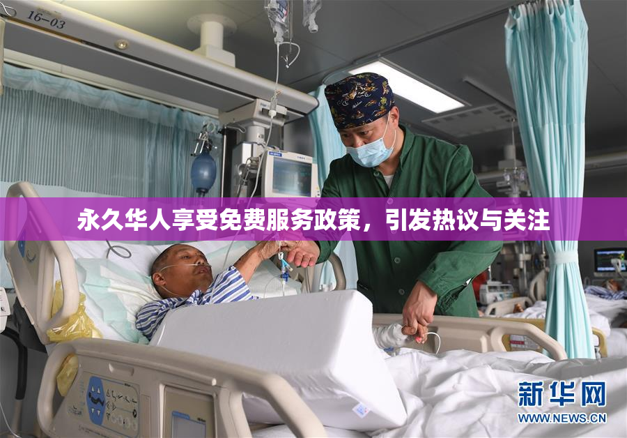 永久华人享受免费服务政策，引发热议与关注