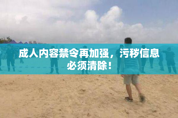 成人内容禁令再加强，污秽信息必须清除！