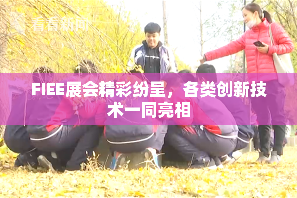 FIEE展会精彩纷呈，各类创新技术一同亮相