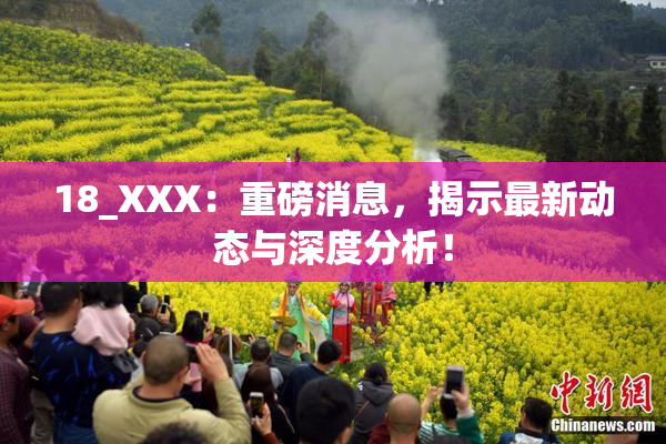 18_XXX：重磅消息，揭示最新动态与深度分析！