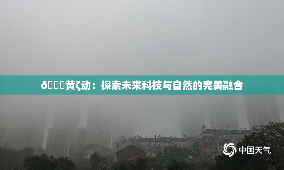 🔞黄ζ动：探索未来科技与自然的完美融合