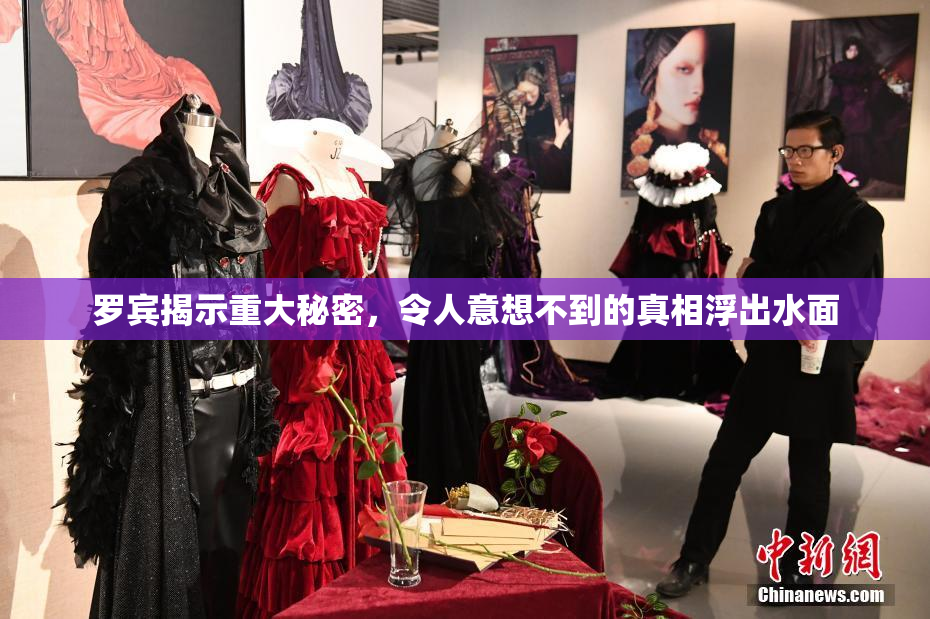 罗宾揭示重大秘密，令人意想不到的真相浮出水面