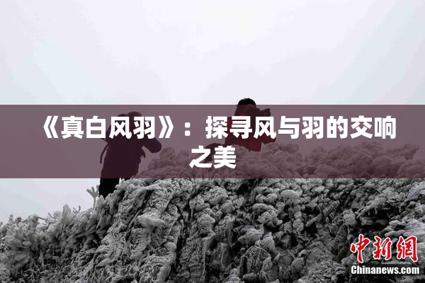 《真白风羽》：探寻风与羽的交响之美