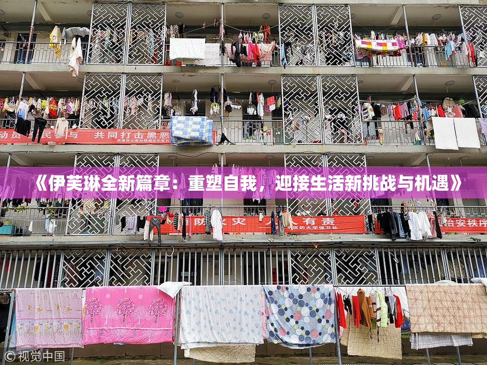 《伊芙琳全新篇章：重塑自我，迎接生活新挑战与机遇》