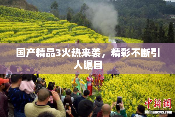 国产精品3火热来袭，精彩不断引人瞩目