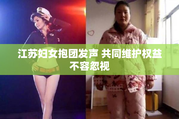 江苏妇女抱团发声 共同维护权益不容忽视