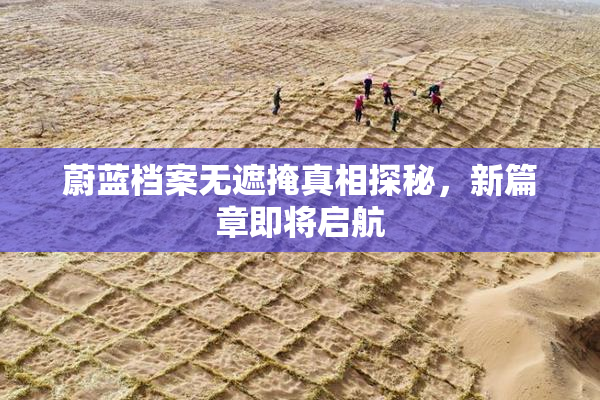 蔚蓝档案无遮掩真相探秘，新篇章即将启航