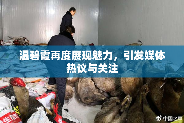 温碧霞再度展现魅力，引发媒体热议与关注