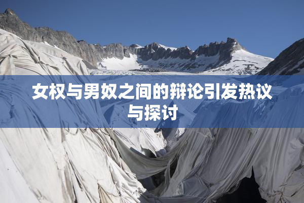 女权与男奴之间的辩论引发热议与探讨