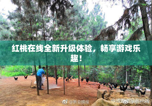 红桃在线全新升级体验，畅享游戏乐趣！