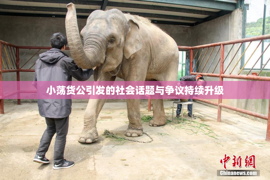 小荡货公引发的社会话题与争议持续升级