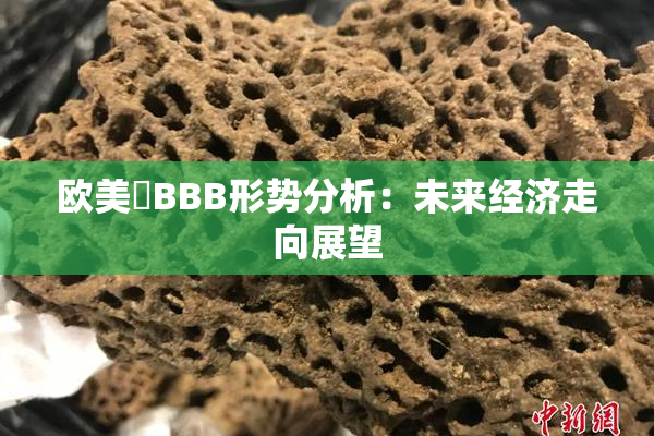 欧美槡BBB形势分析：未来经济走向展望