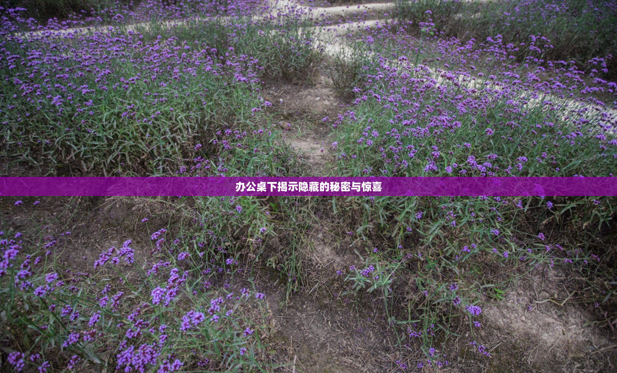 办公桌下揭示隐藏的秘密与惊喜