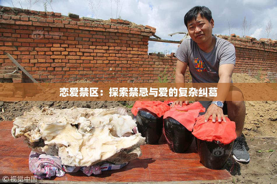 恋爱禁区：探索禁忌与爱的复杂纠葛