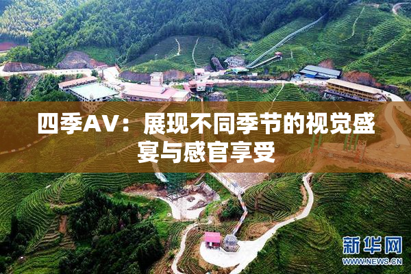 四季AV：展现不同季节的视觉盛宴与感官享受