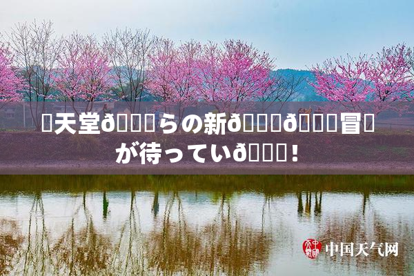 妺天堂💋らの新👅🍑冒険が待ってい🌃！