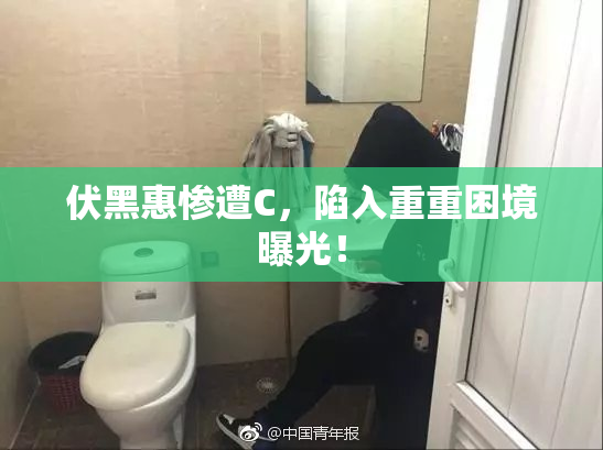 伏黑惠惨遭C，陷入重重困境曝光！