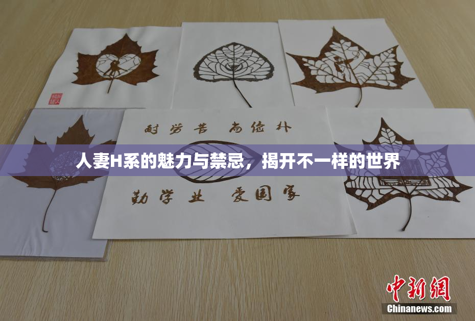 人妻H系的魅力与禁忌，揭开不一样的世界