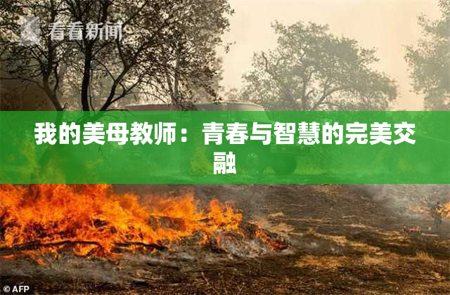 我的美母教师：青春与智慧的完美交融