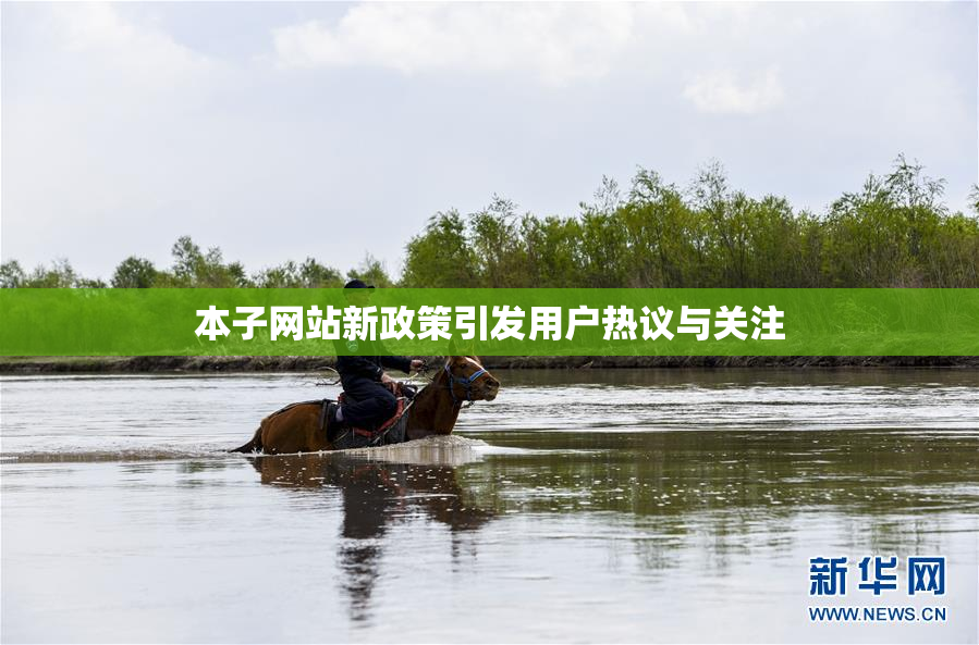 本子网站新政策引发用户热议与关注