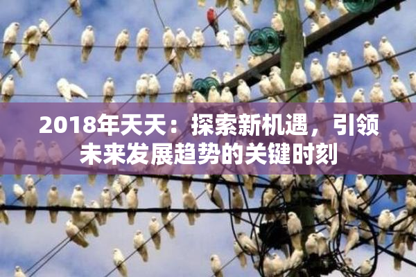 2018年天天：探索新机遇，引领未来发展趋势的关键时刻
