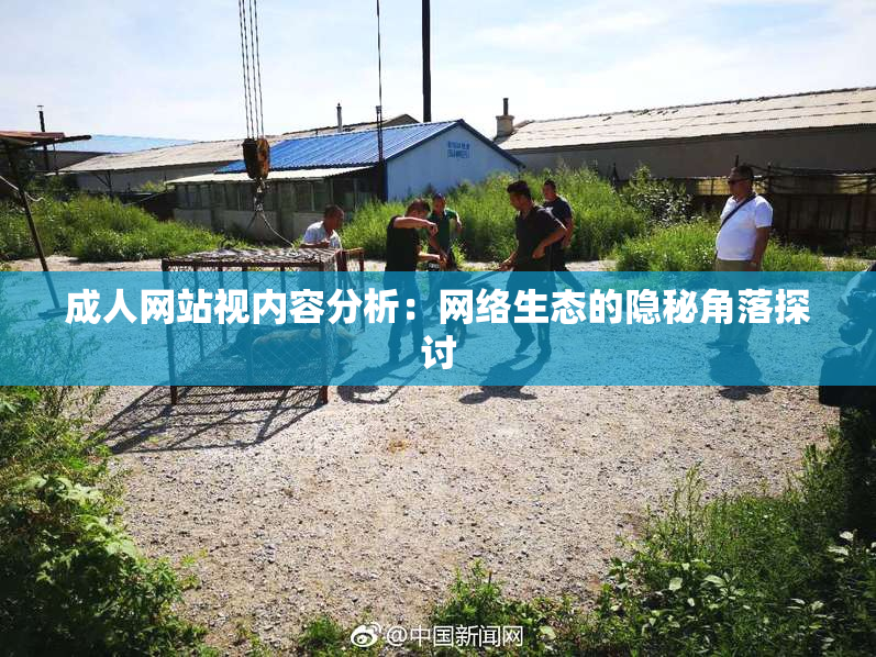 成人网站视内容分析：网络生态的隐秘角落探讨