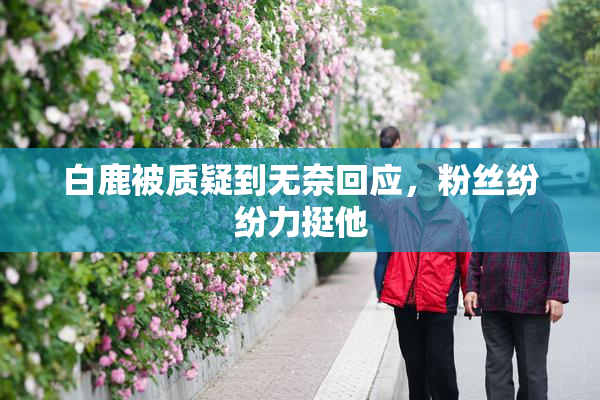 白鹿被质疑到无奈回应，粉丝纷纷力挺他