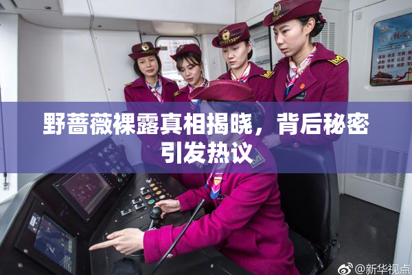 野蔷薇裸露真相揭晓，背后秘密引发热议