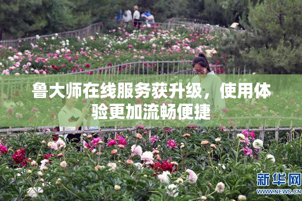 鲁大师在线服务获升级，使用体验更加流畅便捷