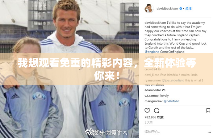 我想观看免重的精彩内容，全新体验等你来！