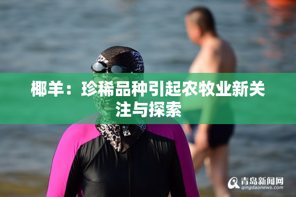 椰羊：珍稀品种引起农牧业新关注与探索