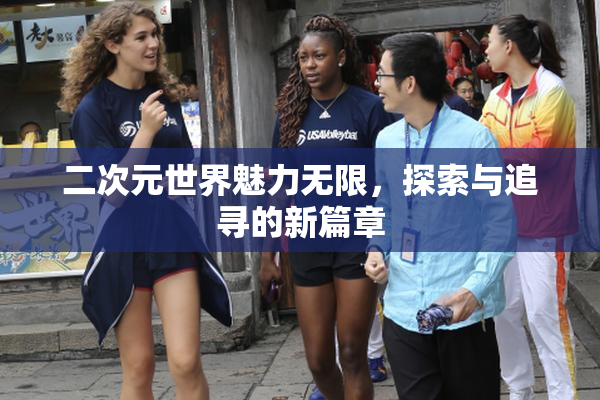 二次元世界魅力无限，探索与追寻的新篇章