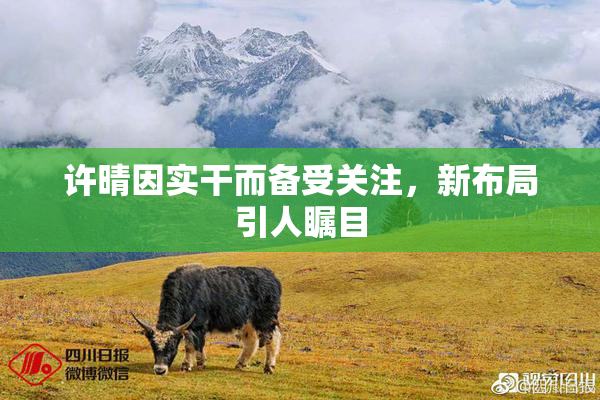 许晴因实干而备受关注，新布局引人瞩目