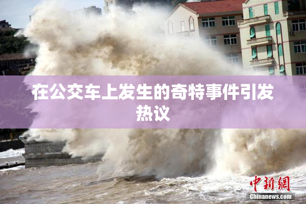 在公交车上发生的奇特事件引发热议