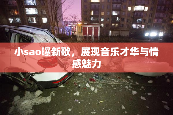 小sao曝新歌，展现音乐才华与情感魅力