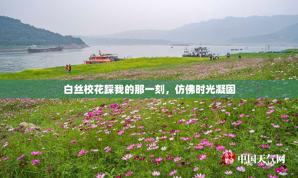白丝校花踩我的那一刻，仿佛时光凝固