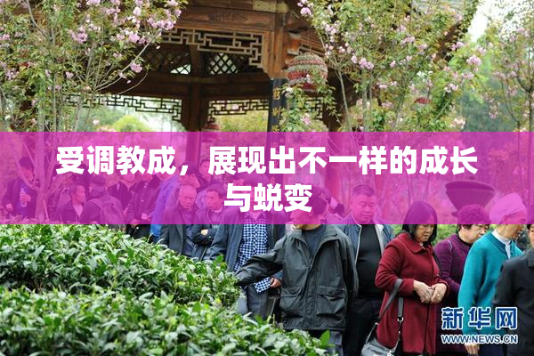 受调教成，展现出不一样的成长与蜕变