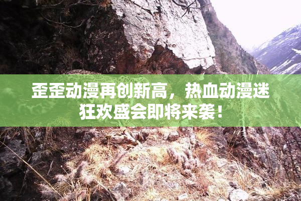 歪歪动漫再创新高，热血动漫迷狂欢盛会即将来袭！