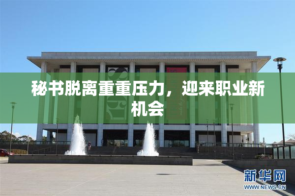 秘书脱离重重压力，迎来职业新机会
