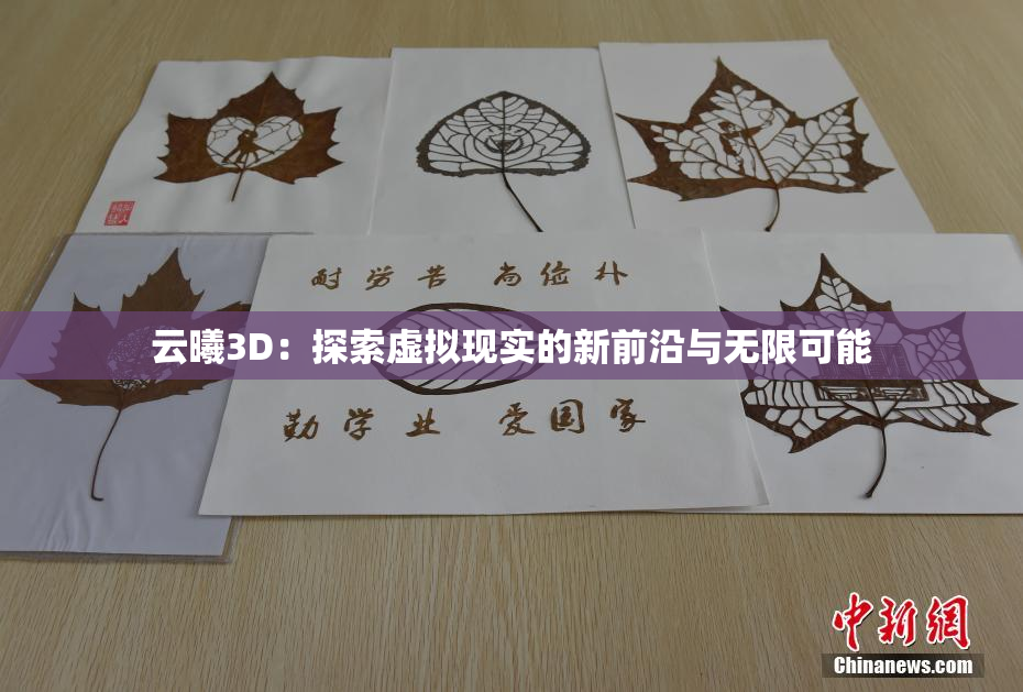 云曦3D：探索虚拟现实的新前沿与无限可能