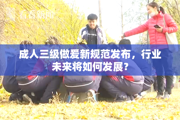 成人三级做爰新规范发布，行业未来将如何发展？