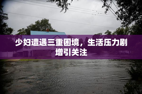 少妇遭遇三重困境，生活压力剧增引关注