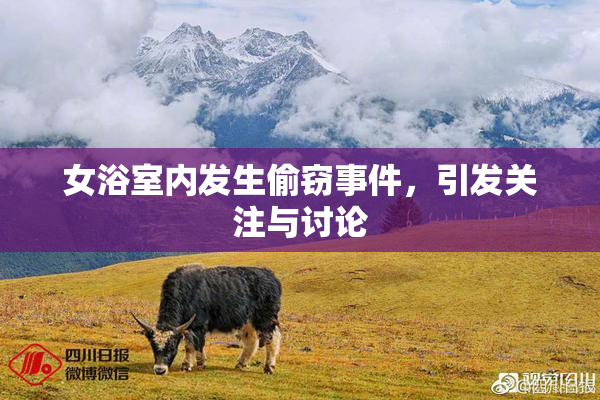 女浴室内发生偷窃事件，引发关注与讨论