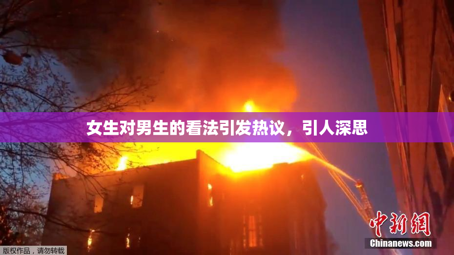 女生对男生的看法引发热议，引人深思