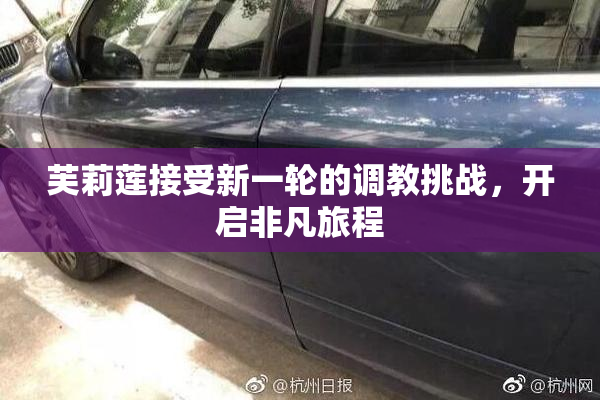 芙莉莲接受新一轮的调教挑战，开启非凡旅程