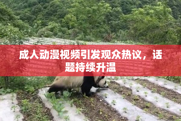 成人动漫视频引发观众热议，话题持续升温