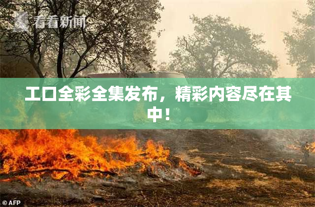 工口全彩全集发布，精彩内容尽在其中！