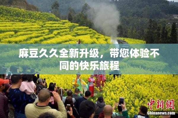 麻豆久久全新升级，带您体验不同的快乐旅程