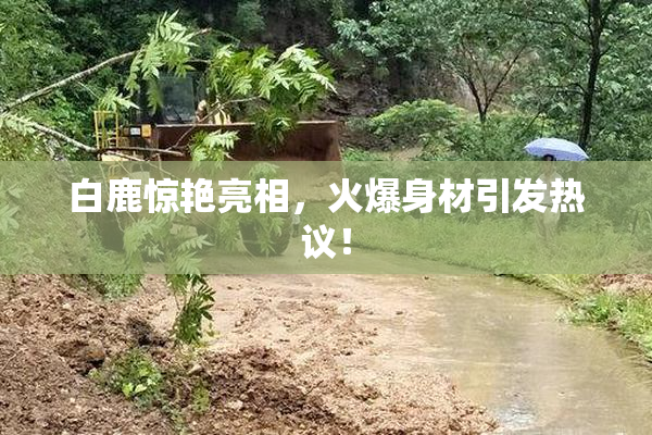 白鹿惊艳亮相，火爆身材引发热议！