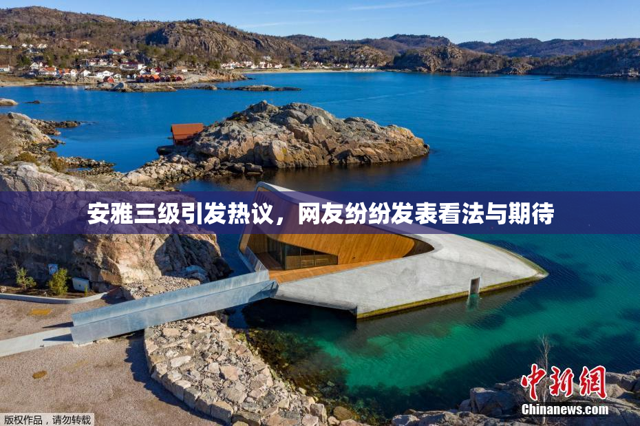 安雅三级引发热议，网友纷纷发表看法与期待